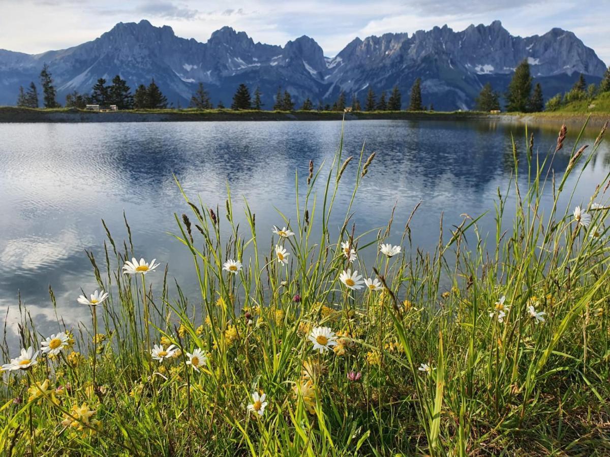 Going am Wilden Kaiser Haus Strobler 아파트 외부 사진