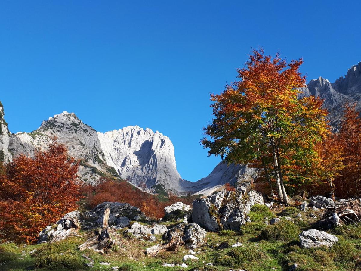 Going am Wilden Kaiser Haus Strobler 아파트 외부 사진