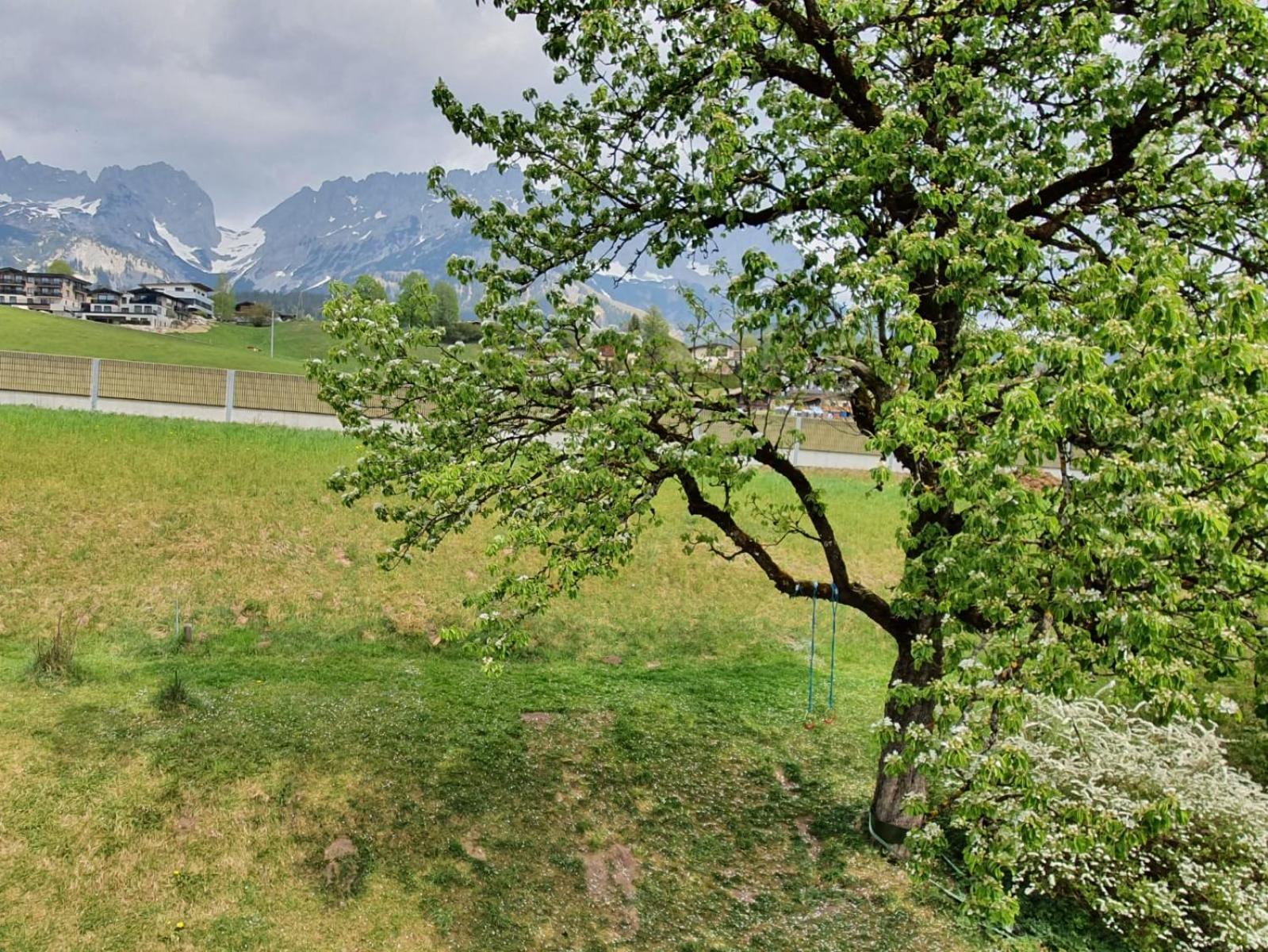 Going am Wilden Kaiser Haus Strobler 아파트 객실 사진